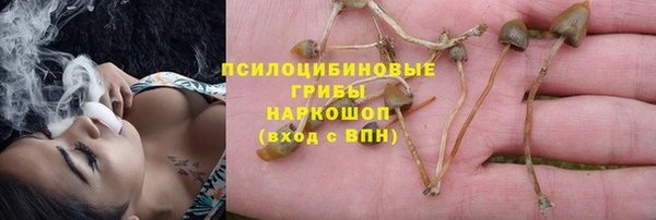амф Вязьма