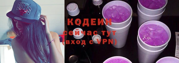 прущий лед Вяземский