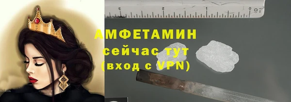 прущий лед Вяземский