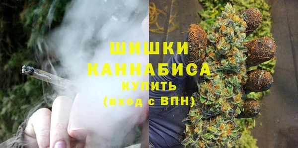 амф Вязьма