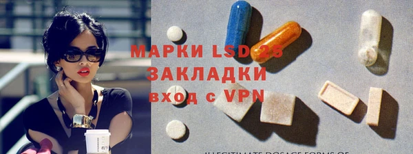 прущий лед Вяземский