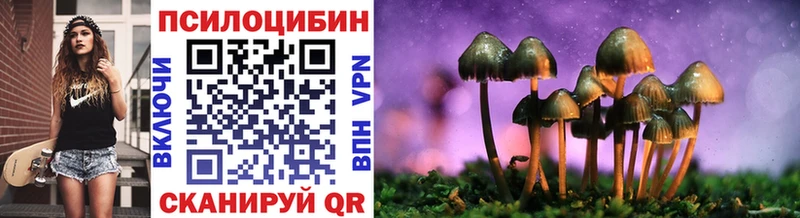 как найти   Ивдель  Галлюциногенные грибы мицелий 